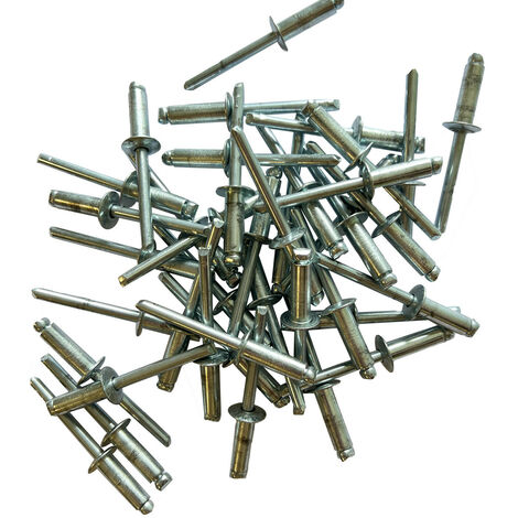 Sachet de 250 rivets acier standards de 6 x 18
