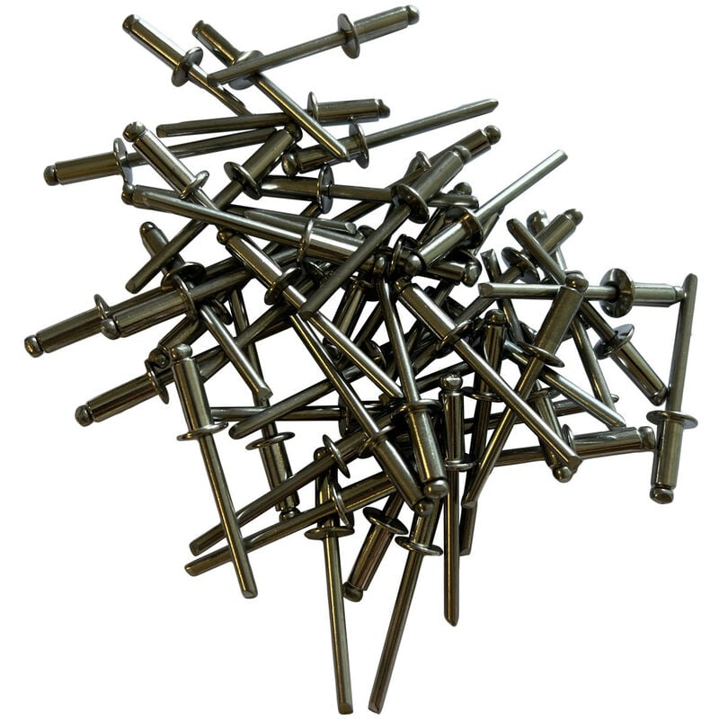 Sachet de 250 rivets inox a2 (aisi304) standards de 4.8 x 12