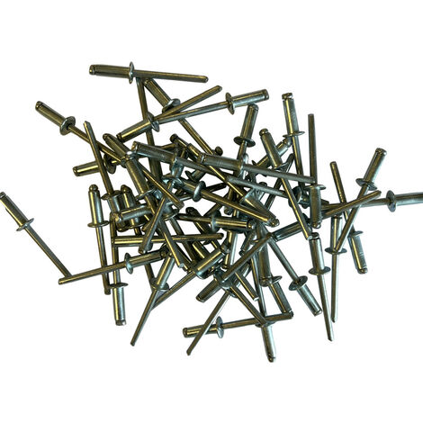 Sachet de 500 rivets acier standards de 4.8 x 14