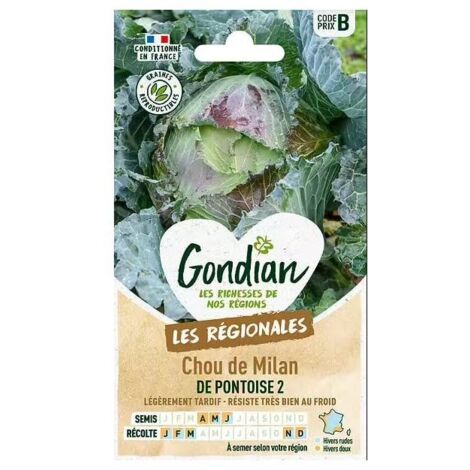 Sachet de graines Chou de Milan de Pontoise 2 GONDIAN