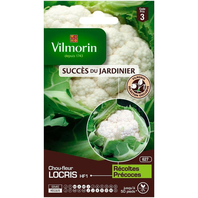 Vilmorin - Sachet de graines Chou Fleur locris HF1 - Création