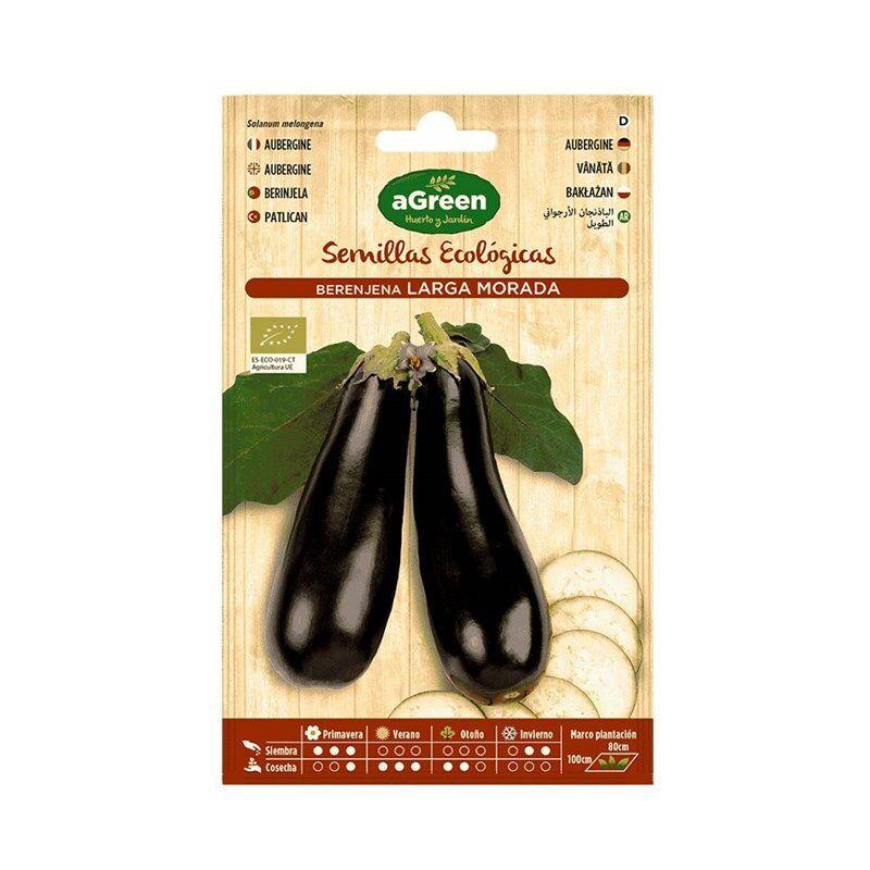 E3/06420 à propos de eco seeds long purple aubergine Agreen
