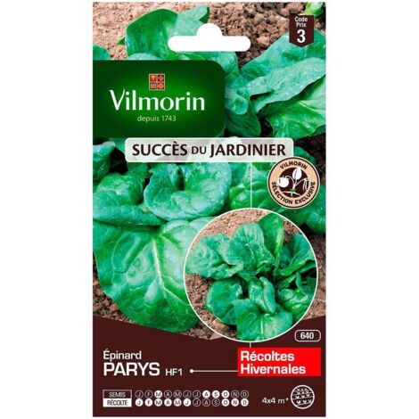 Sachet de graines Epinard Parys HF1 - Création vilmorin