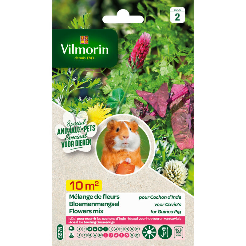 Vilmorin - Sachet de graines Mélanges de fleurs pour cochon d'Inde 10m²