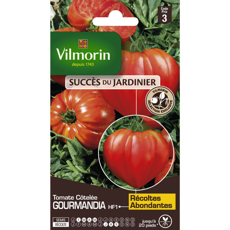 Vilmorin - Sachet de Graines Tomate Gourmandia HF1- Saveur et Résistance au Jardin