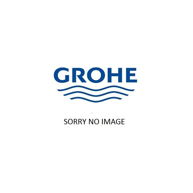 Grohe - joint d'étanchéité de 43806000