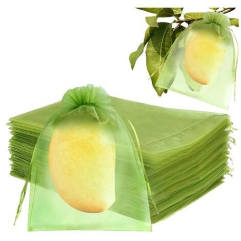 Sachet de protection pour raisins 17 x 23 cm, 50 pièces, filet en organza vert avec cordon pour protéger les fruits.