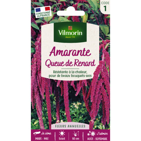 Graines Fleurs Vivaces Vilmorin Pour Rocaille - Mélange Pour Soleil, Floraison Mars à Août