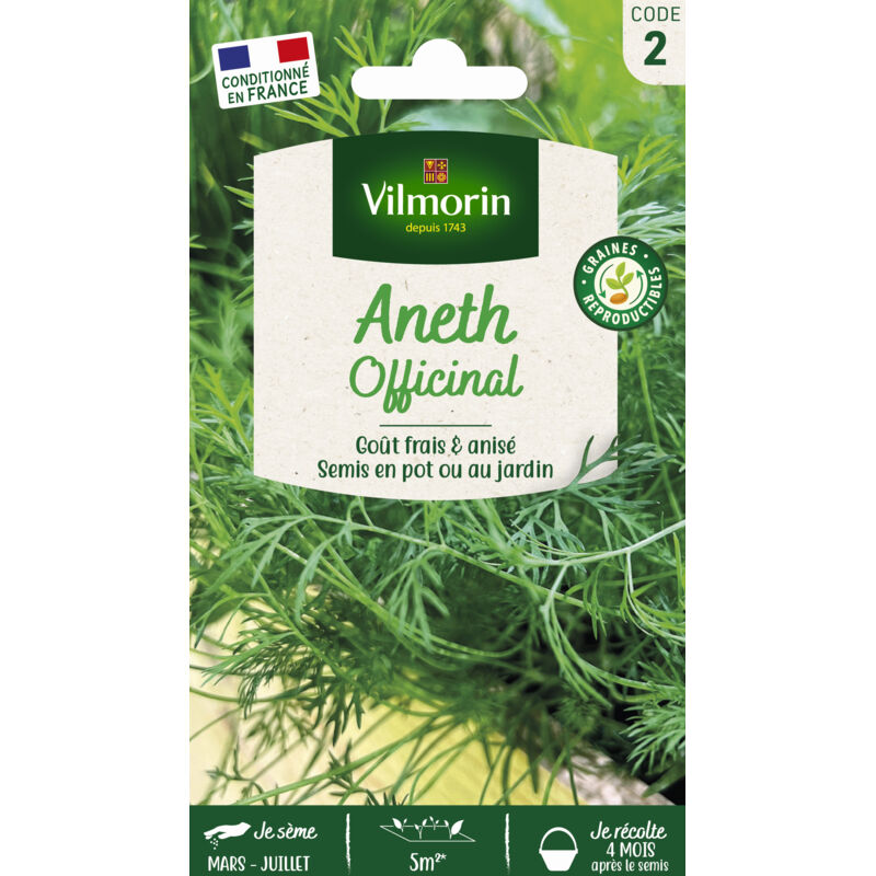 Aneth Officinal Vilmorin