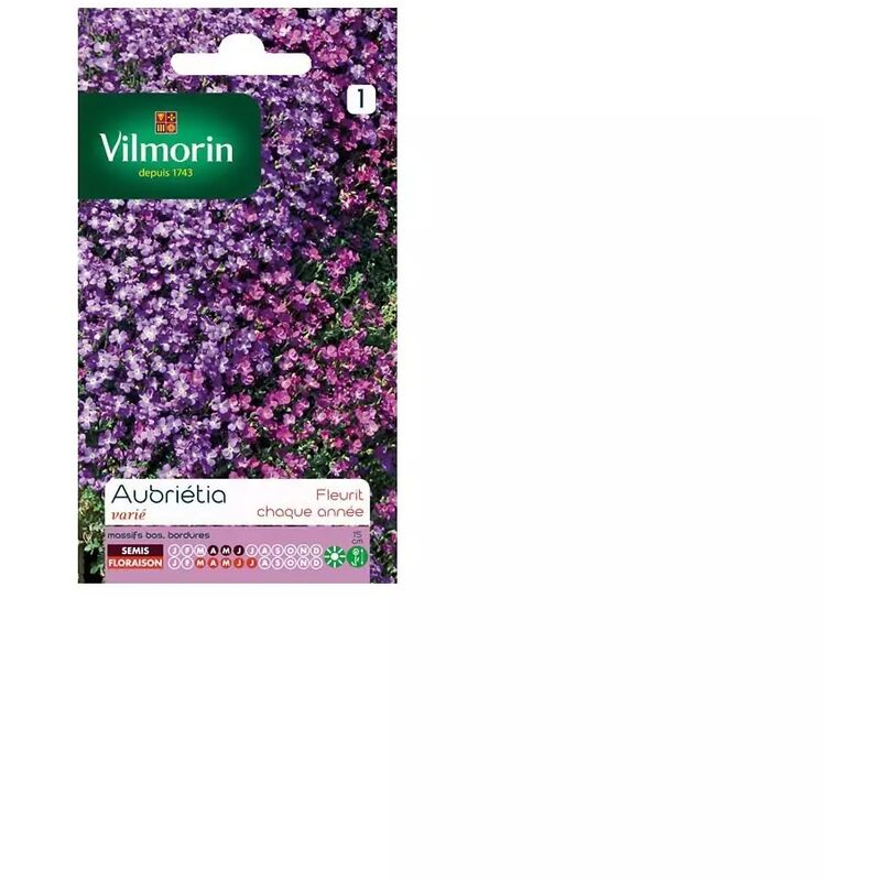 Vilmorin - Sachet graines Aubrietia varié