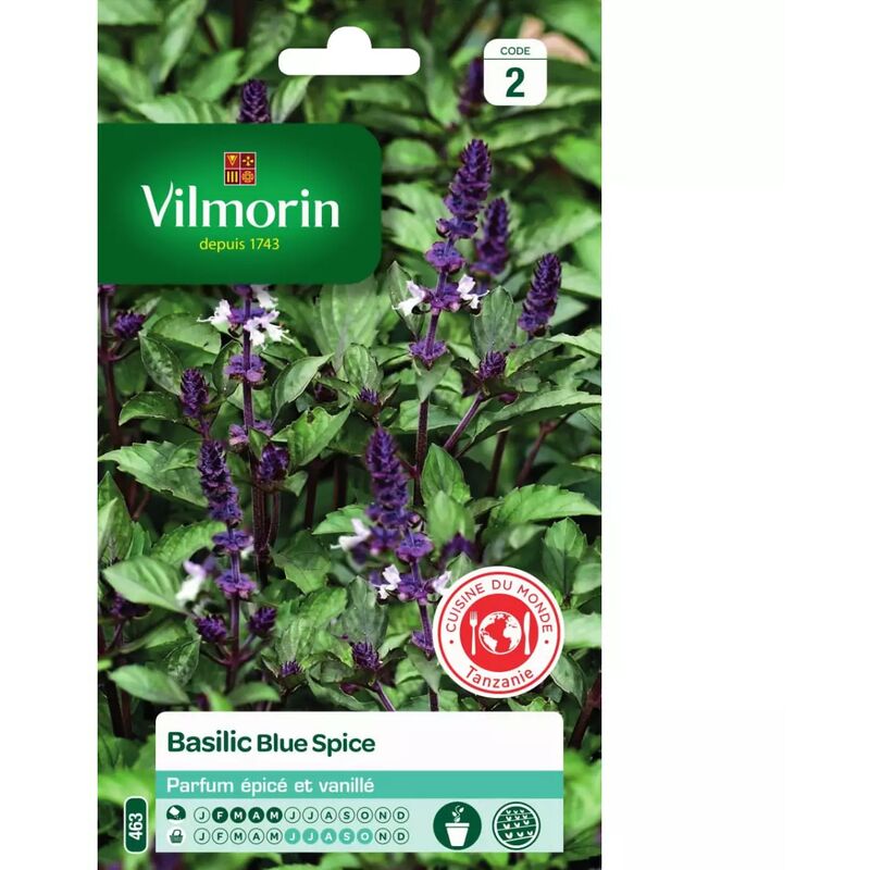 Vilmorin - Sachet graines Basilic Blue Spice