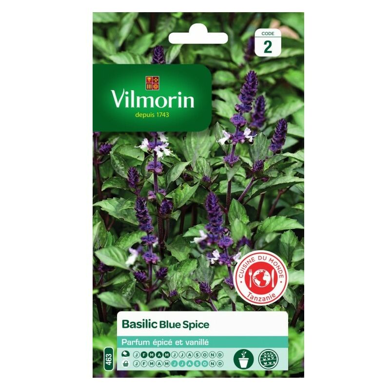 Basilic Blue Spice - Vilmorin