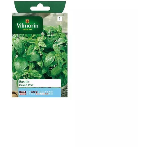 Graines de basilic grand'vert en sachet Vilmorin