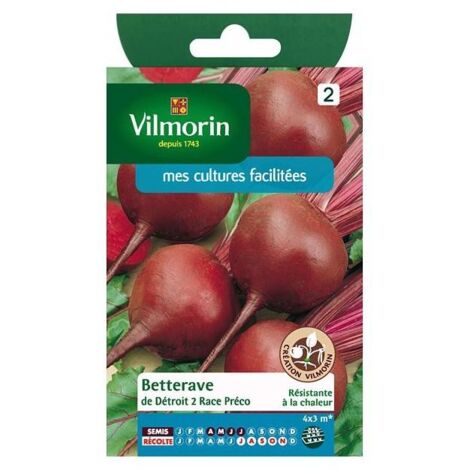 Sachet graines Betterave de détroit 2 race préco