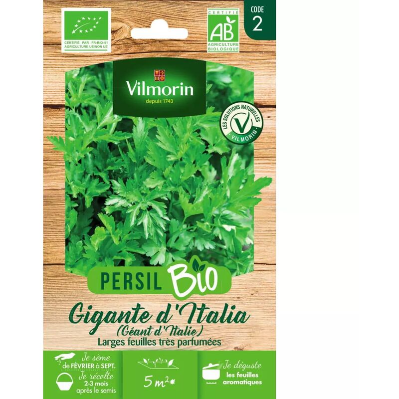 Vilmorin - Sachet graines Persil Géant d'Italie bio - Petroselinum sativum