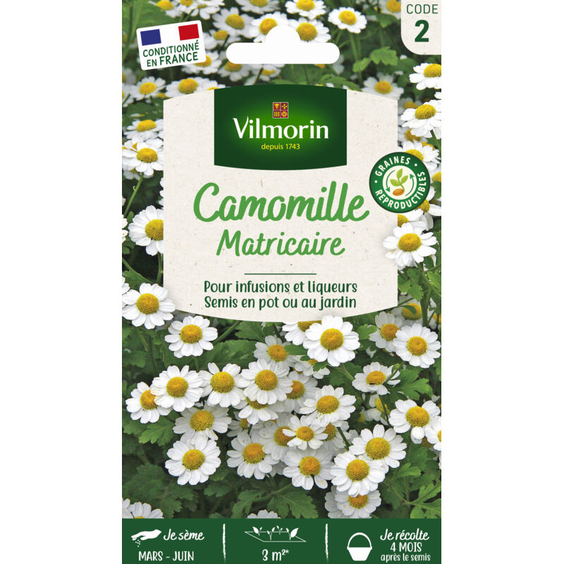 Camomille Ordinaire Vilmorin