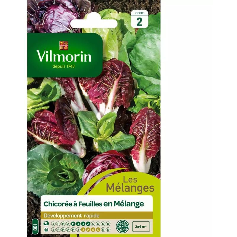Vilmorin - Sachet graines Chicorée à Feuilles en Mélange
