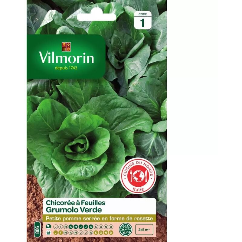 Vilmorin - Sachet graines Chicorée à feuilles Grumolo Verde