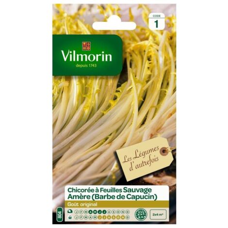 Sachet graines Chicorée à feuilles sauvage Amère Barbe de capucin