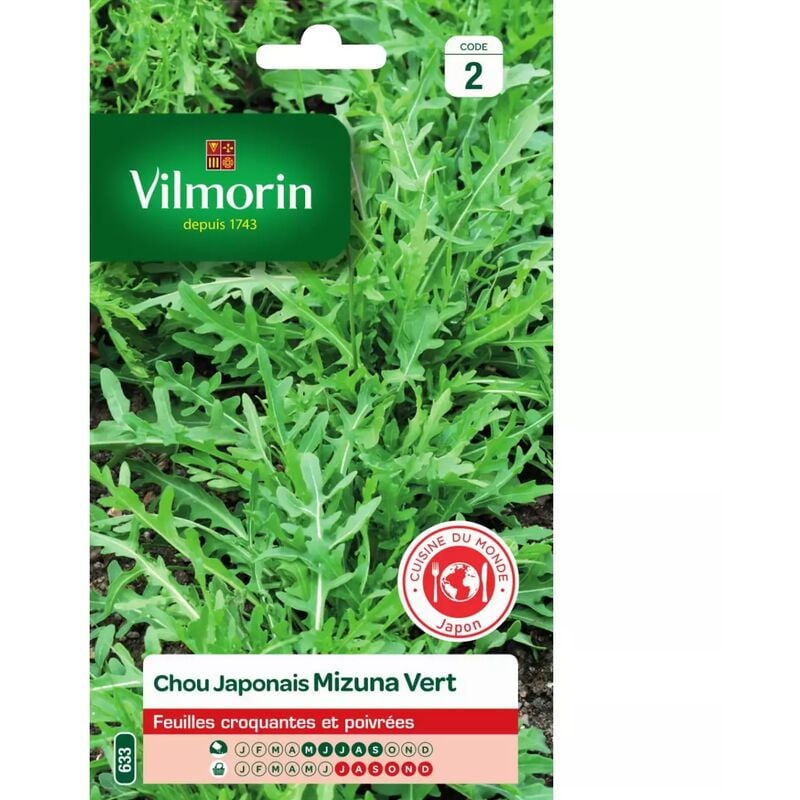 Vilmorin - Sachet graines chou japonais mizuna vert