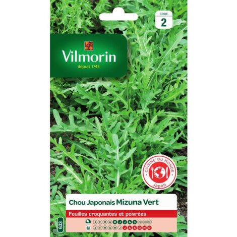 Sachet graines chou japonais mizuna vert