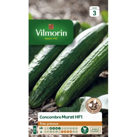 Sachet graines Concombre Murat Hybride HF1
