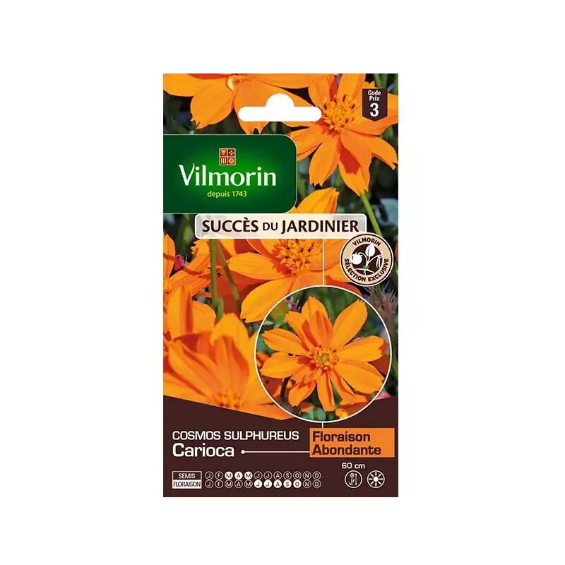 Vilmorin - Sachet graines Cosmos Sulphureus Mini Orange / Carioca