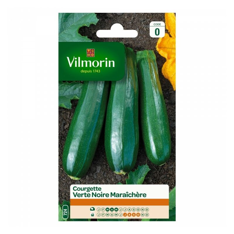 Vilmorin - Courgette Verte Noire Maraichère