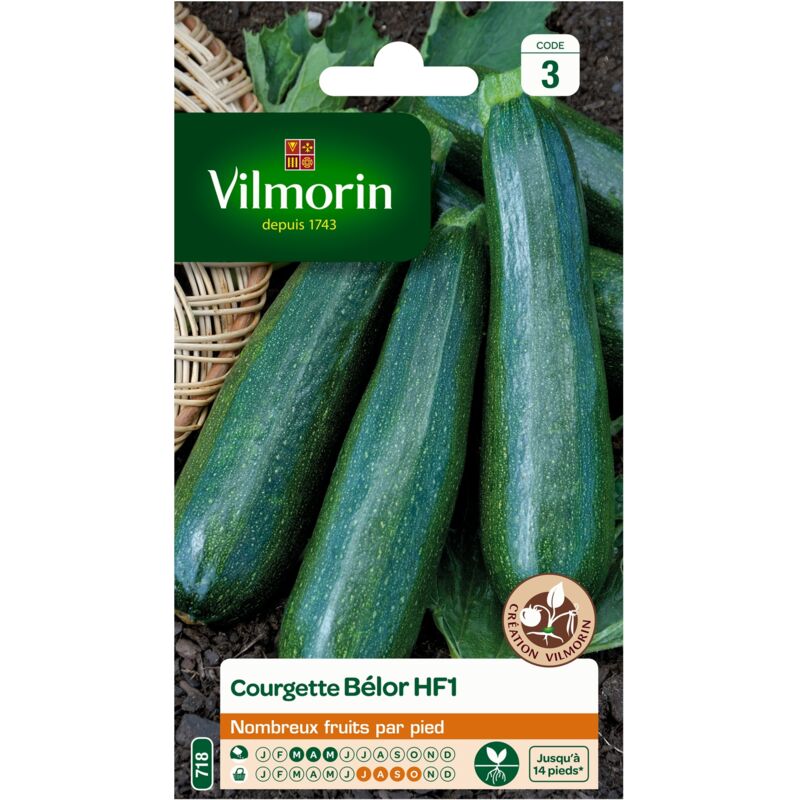 Courgette Bélor HF1 - Graines d'Exception Vilmorin