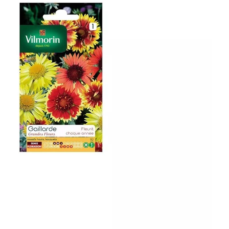 Vilmorin - Sachet graines Gaillarde Grandes fleurs