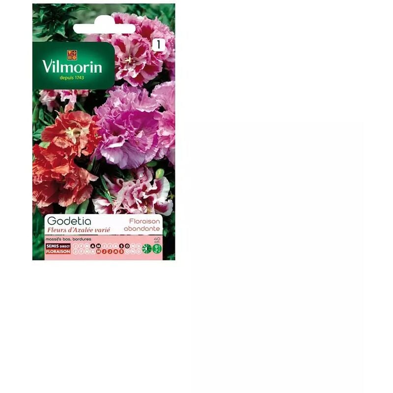 Vilmorin - Sachet graines Godetia fleurs d'azalée varié