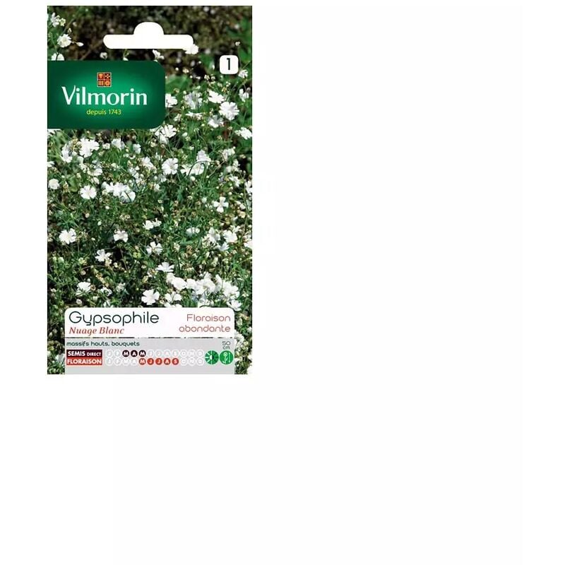 Vilmorin - Sachet graines Gypsophile nuage blanc
