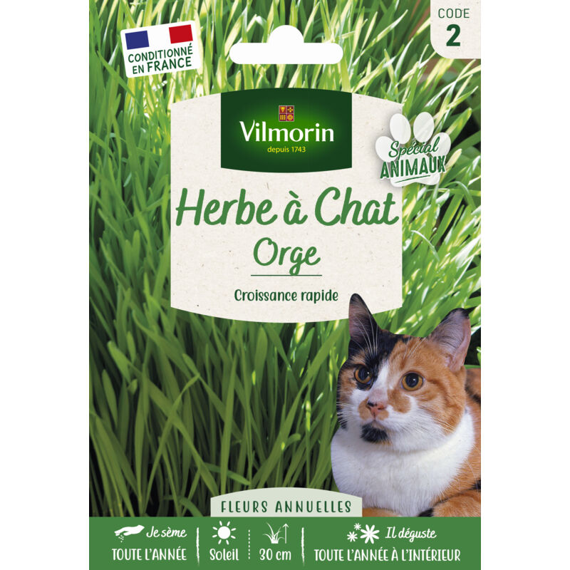 Vilmorin - Herbe à Chat (Orge) - Grand Modèle