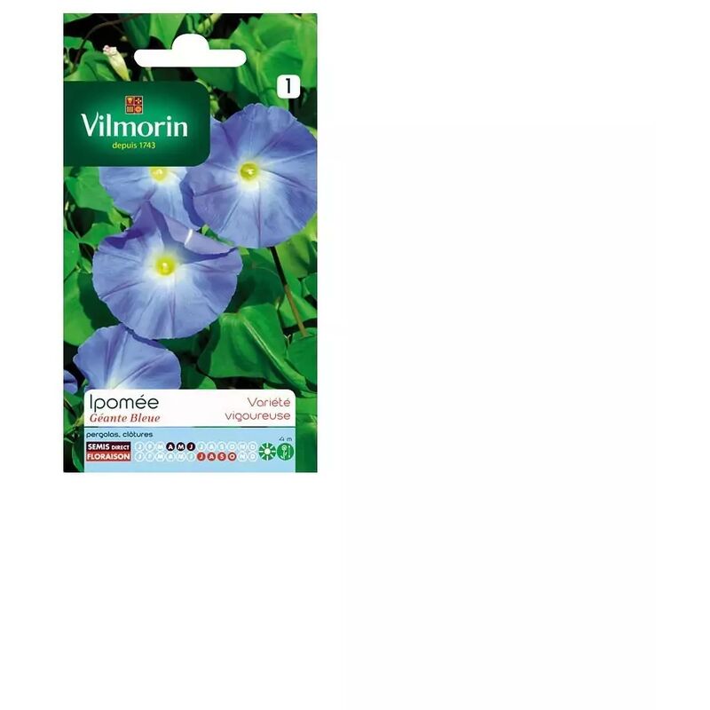 Vilmorin - Sachet graines Ipomée Géante bleue