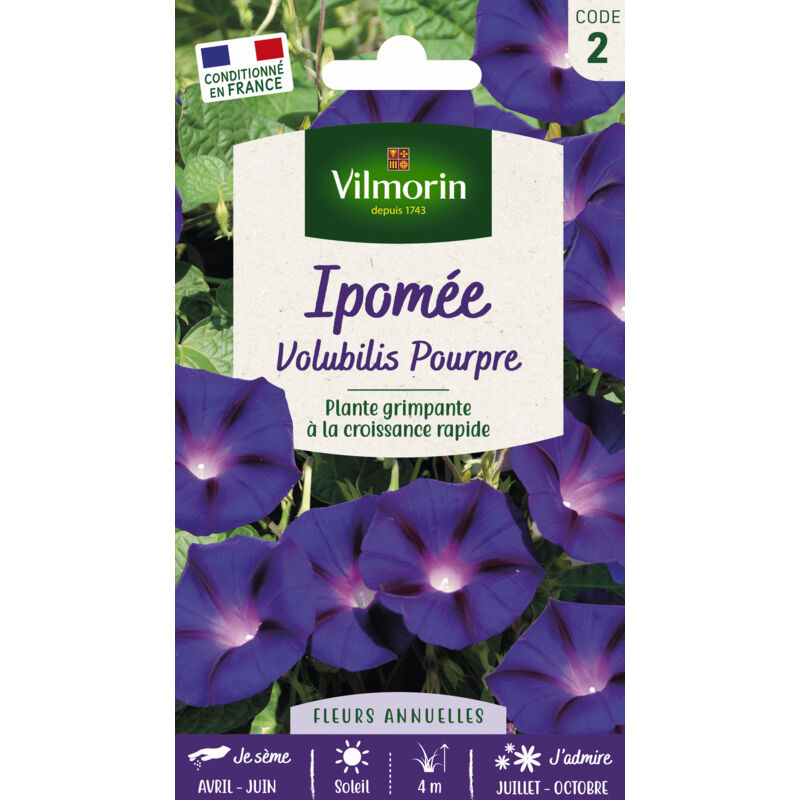 VILMORIN  - Ipom&eacute;e Volubilis Pourpre