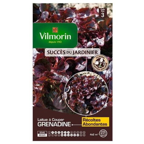 Sachet graines Laitue à couper grenadine