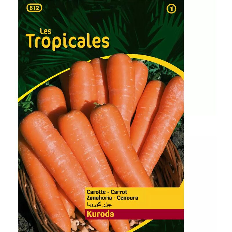 Sachet graines les tropicales - Carotte Kuroda
