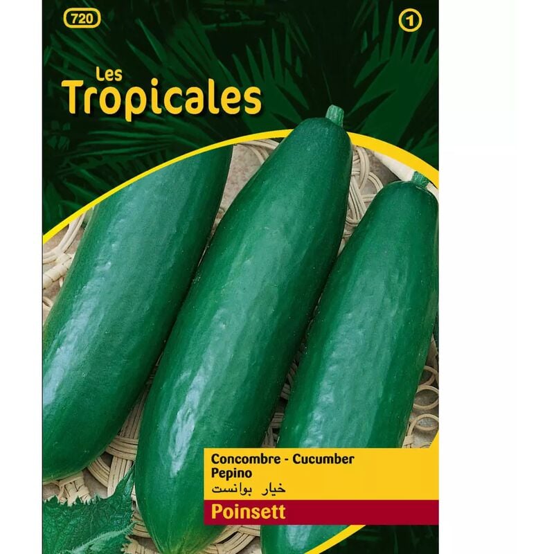 Sachet graines les tropicales - Concombre Poinsett