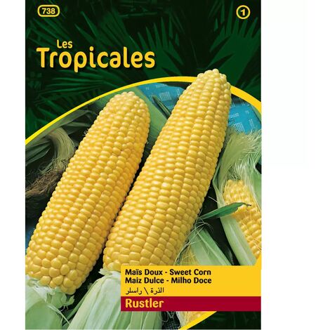Sachet graines LES TROPICALES - Maïs doux Rustler