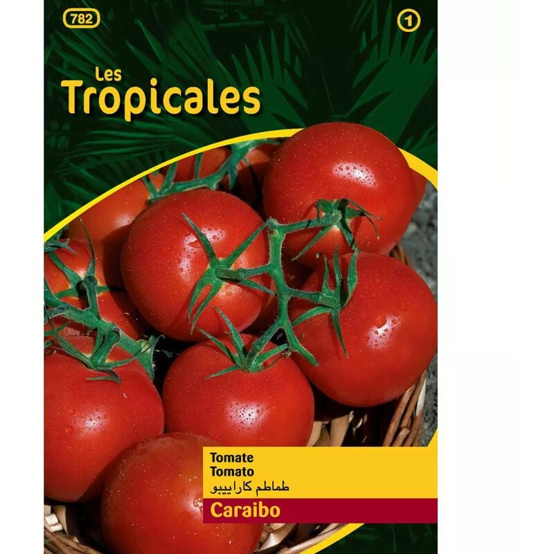 Sachet graines les tropicales - Tomate Caraibo