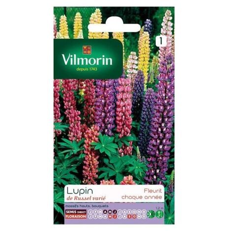 Pack les rois Lupin Russell Hybrides Mélange Vivace Jardin Graines de fleurs