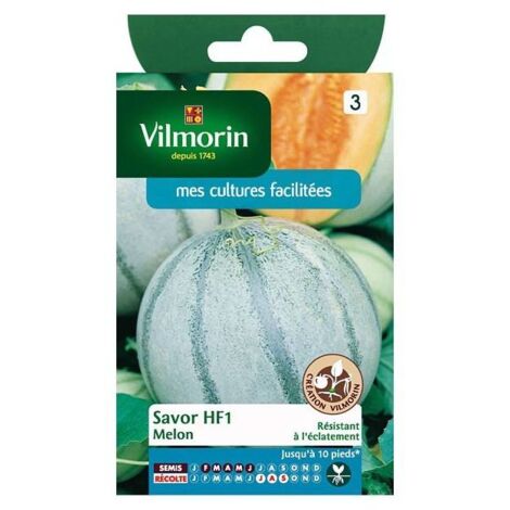 Sachet graines Melon Savor HF1