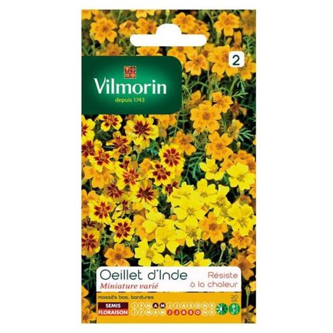 Sachet graines Oeillet d'inde miniature varié ( Tagetes signata)