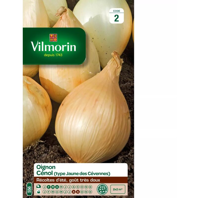Vilmorin - Sachet graines Oignon Cénol ( type jaune des Cévennes )