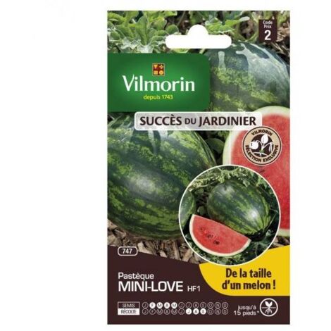 sachet graines Pastèque mini love HF1 Vilmorin