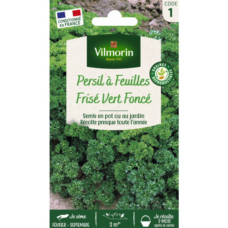Persil fris&eacute; vert fonc&eacute; VILMORIN 5 g