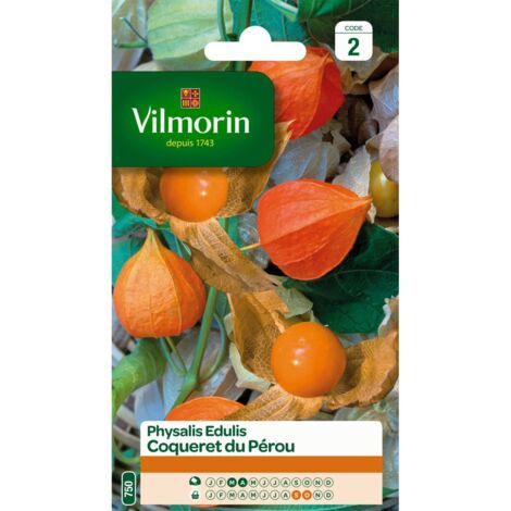 Sachet graines Physalis Edulis