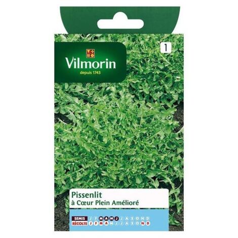 Sachet graines Pissenlit à coeur plein amélioré