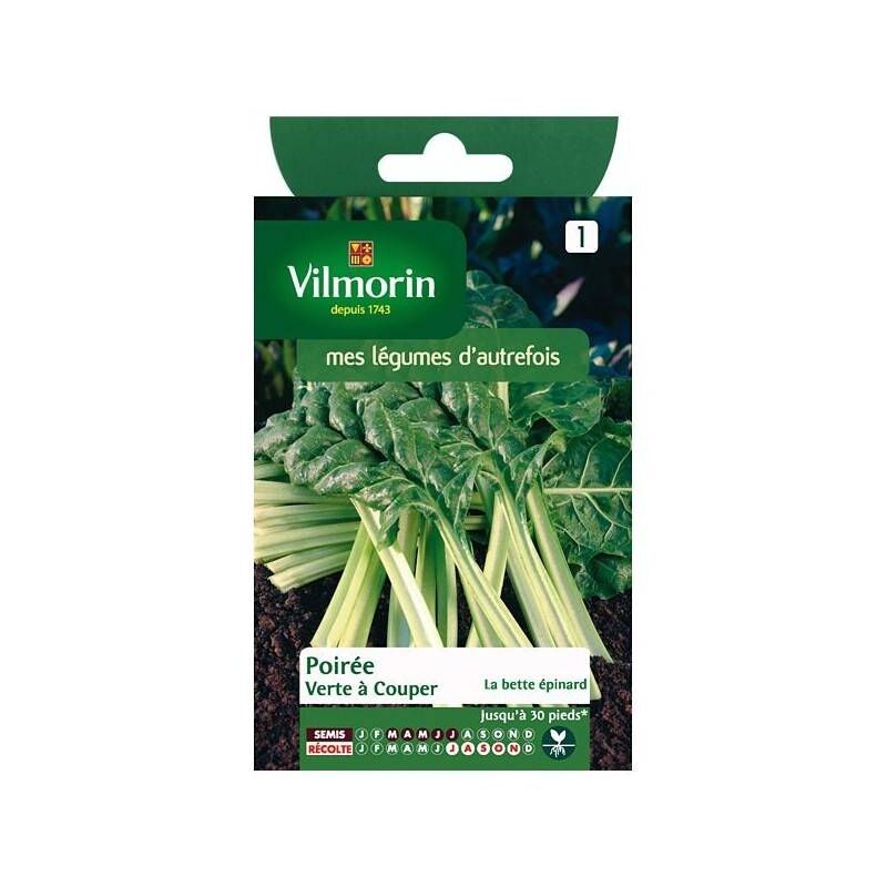 Sachet graines Poirée verte à couper