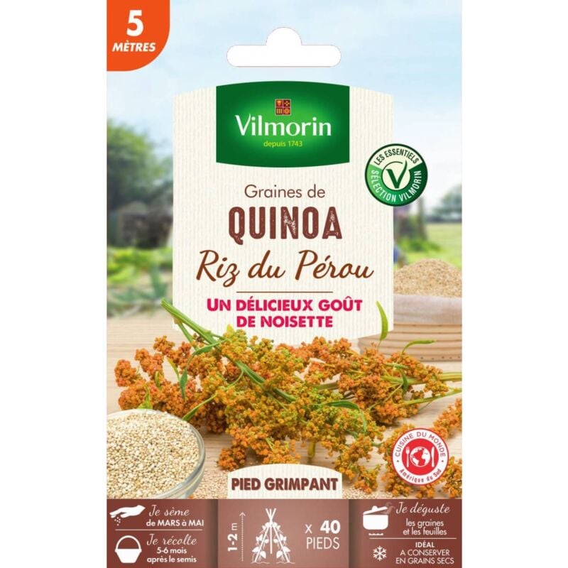 Vilmorin - Sachet graines Quinoa Riz du Pérou - Chenopodium quinoa